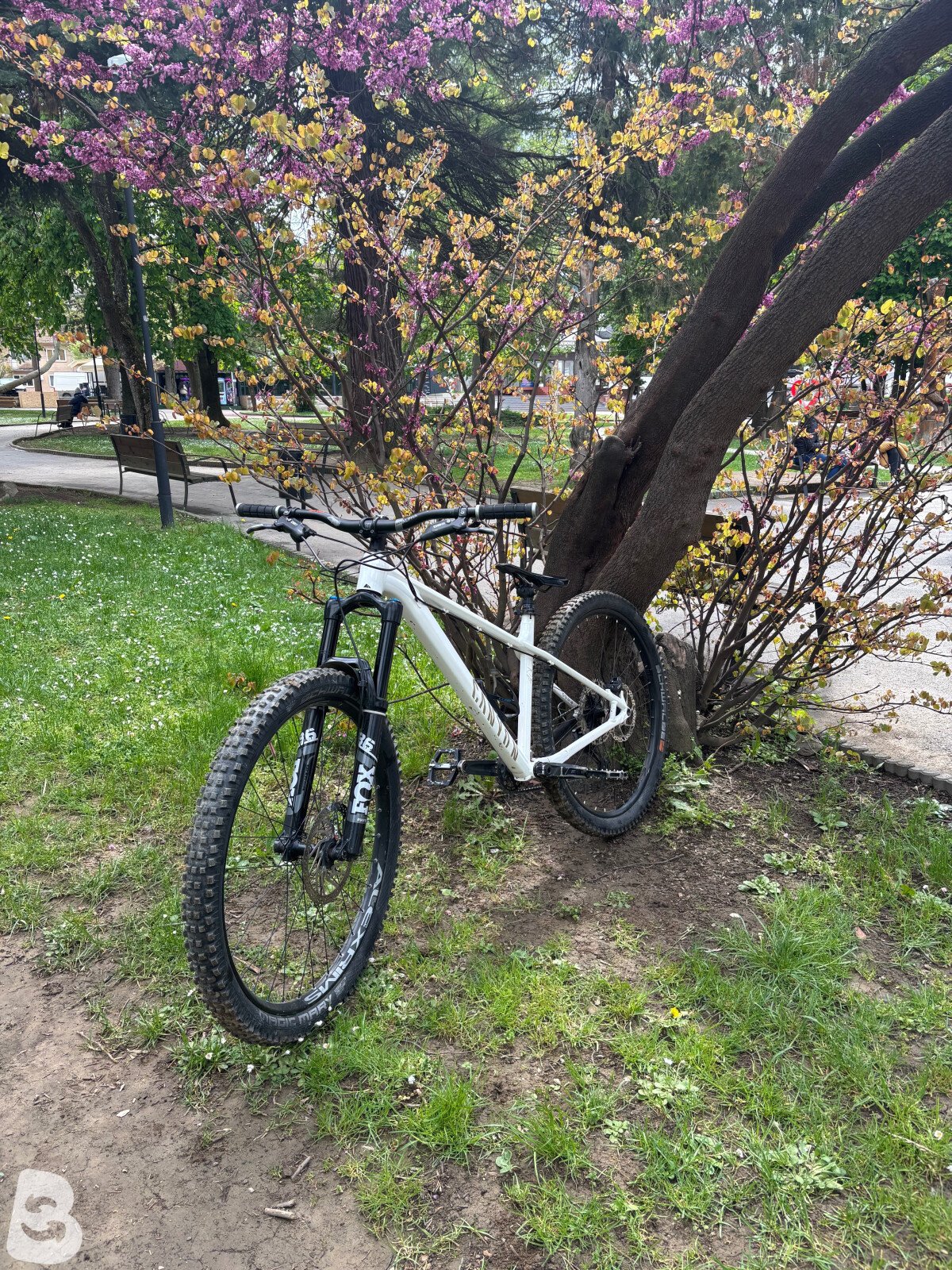 Canyon Stoic 2 2024
