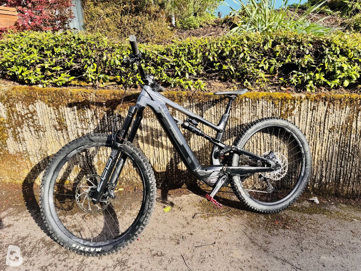 Canyon Torque:ON 7 2022
