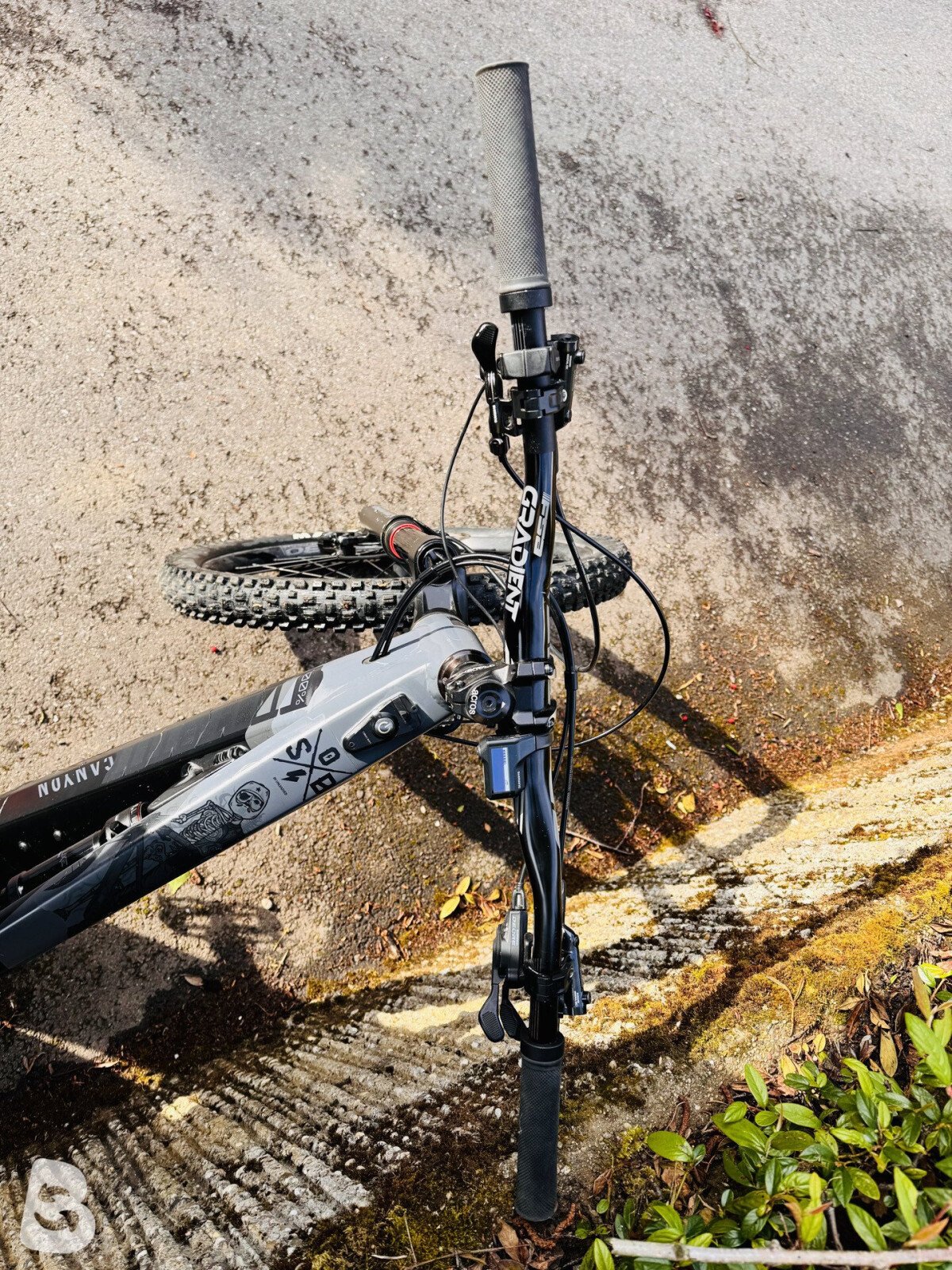 Canyon Torque:ON 7 2022