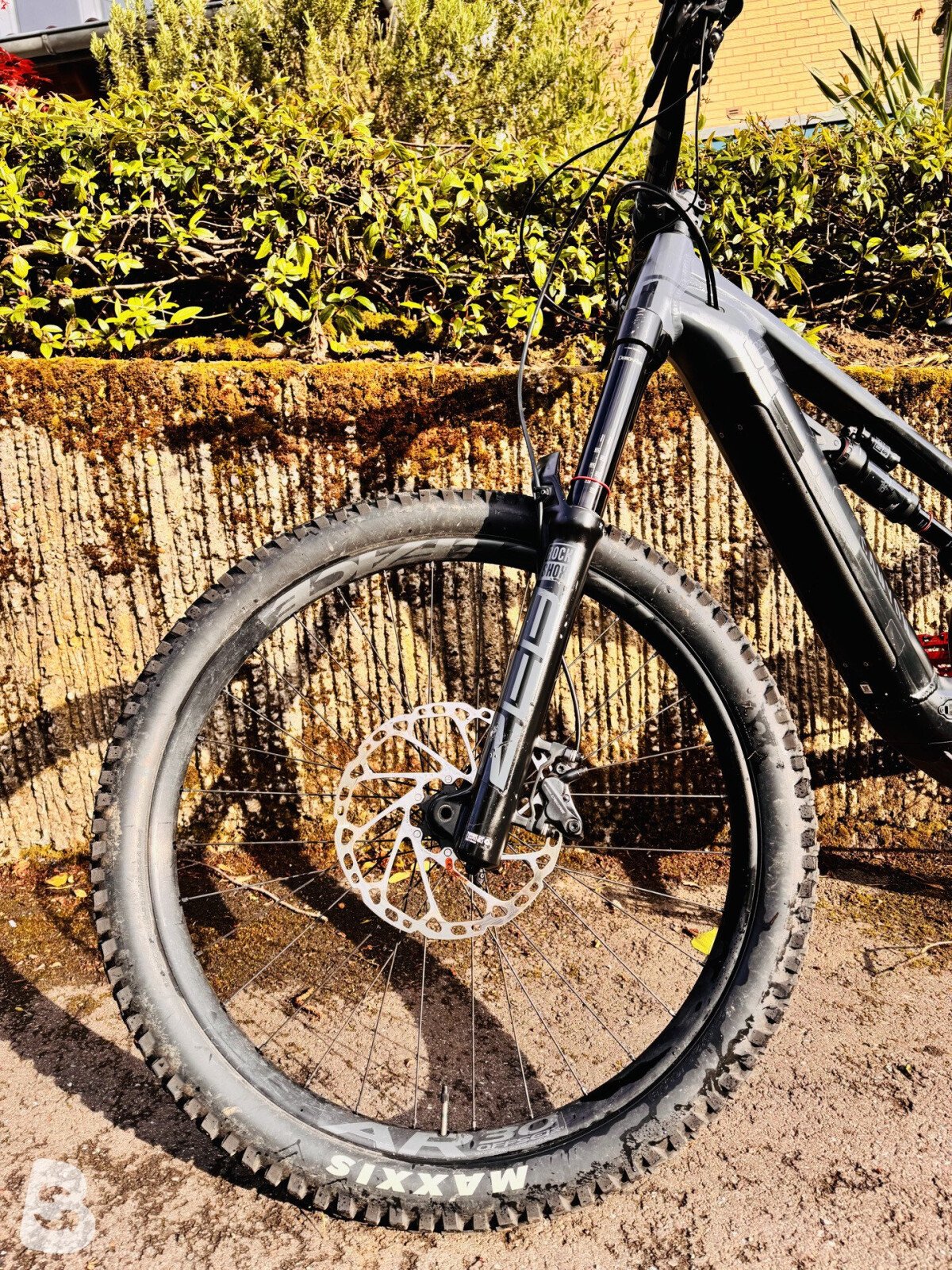 Canyon Torque:ON 7 2022