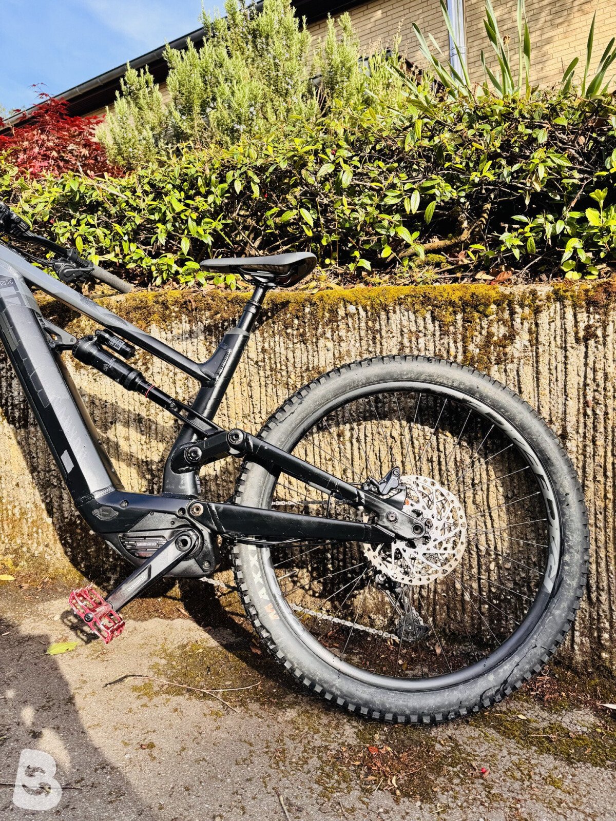 Canyon Torque:ON 7 2022