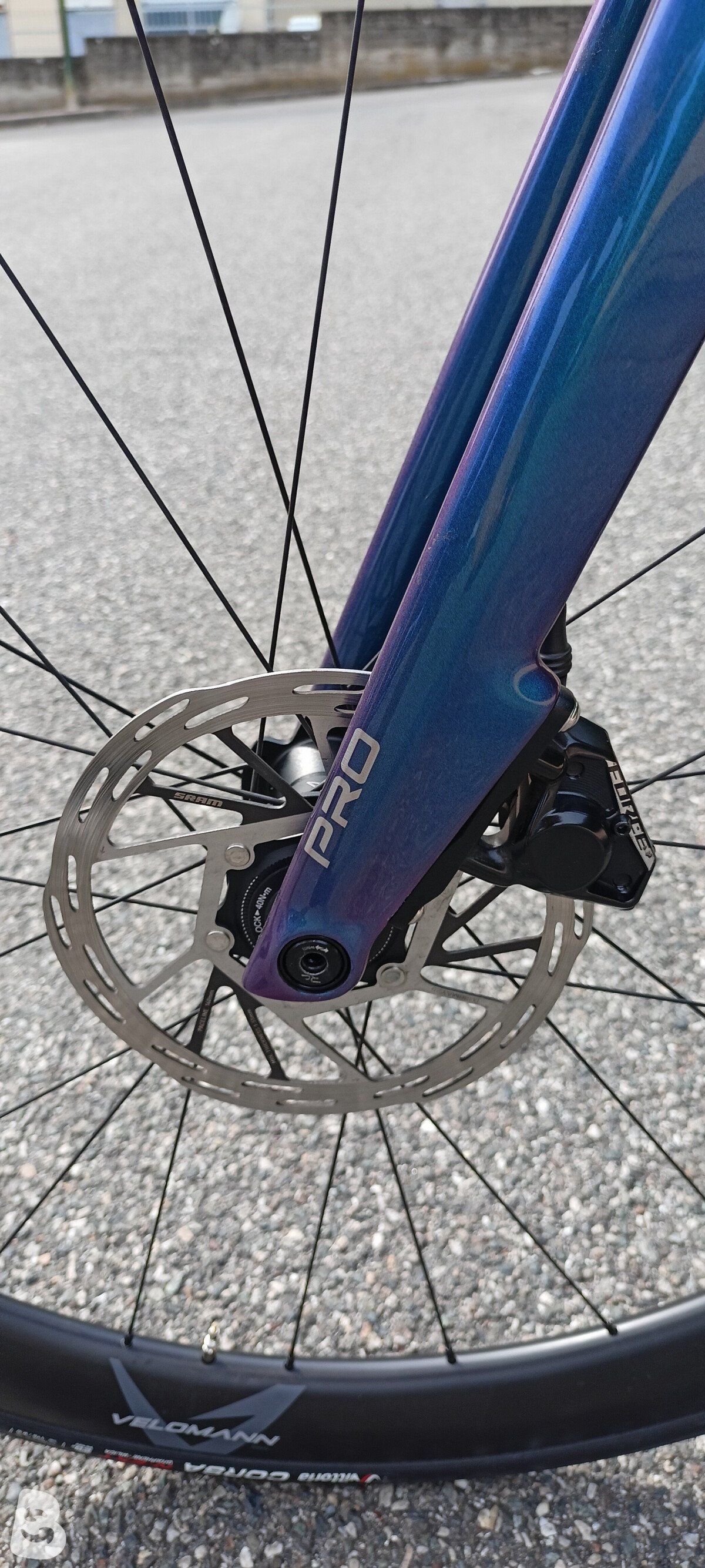 Bianchi Specialissima 2026