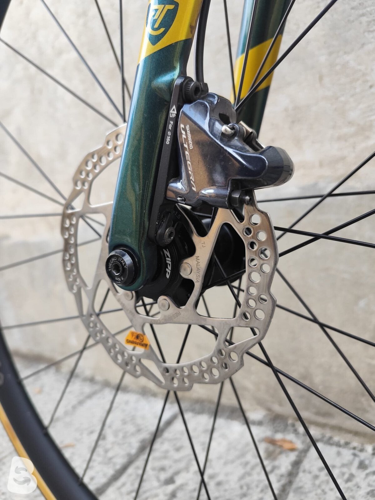 Titici Modena 2023