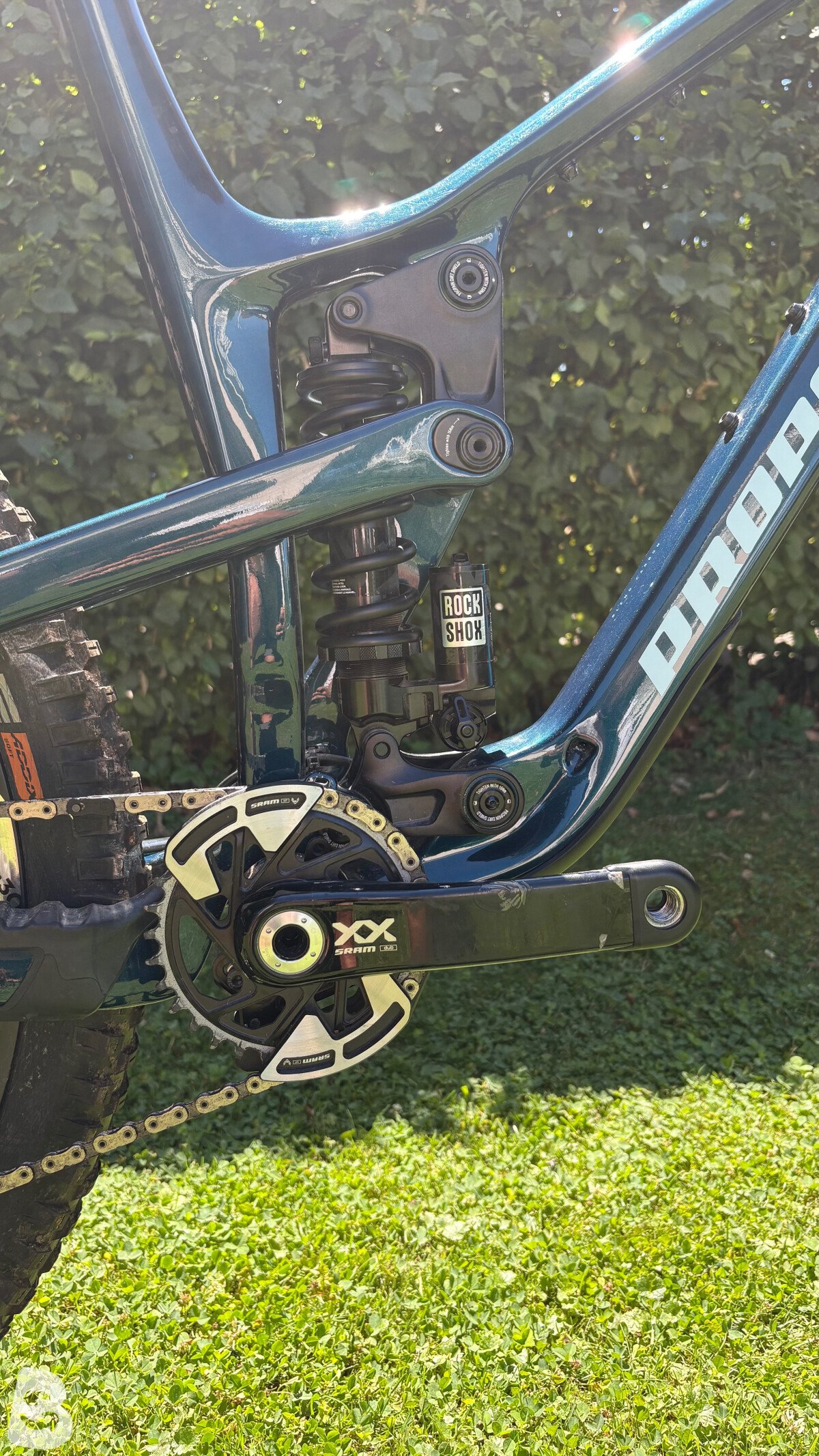 Propain Tyee 6 CF 2024