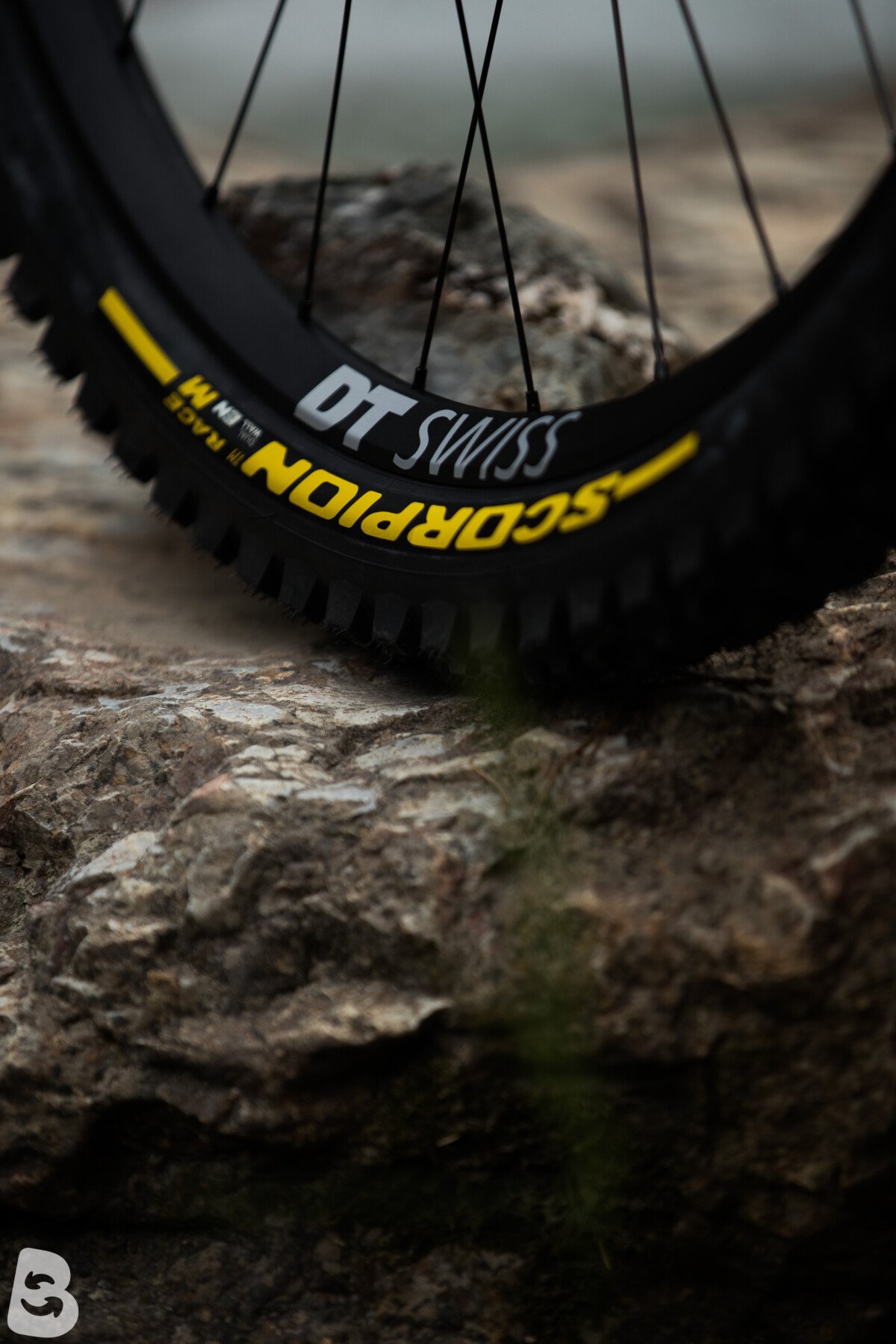 Specialized Demo Race 2024