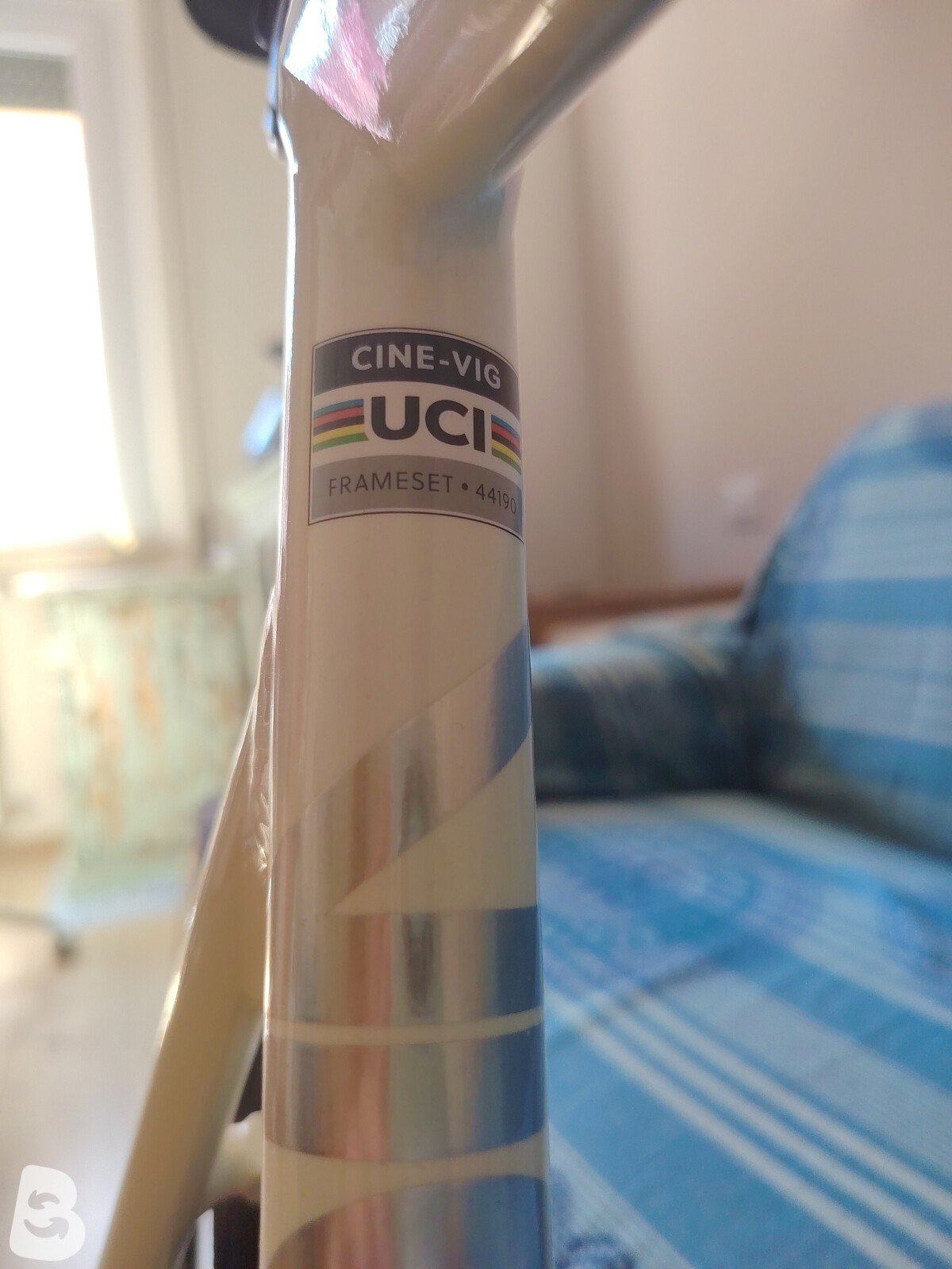 Cinelli Cinelli Vigorelli White Special Frameset 2024 2024
