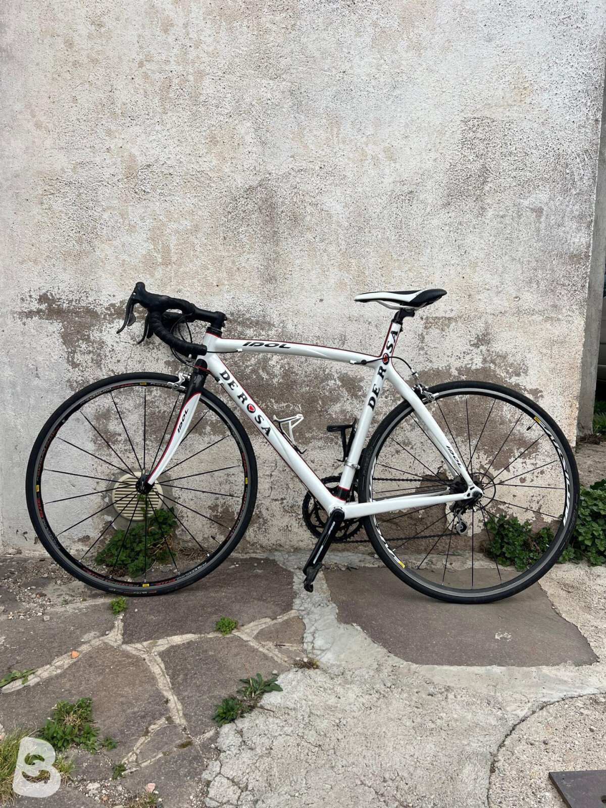 De Rosa Idol 2015
