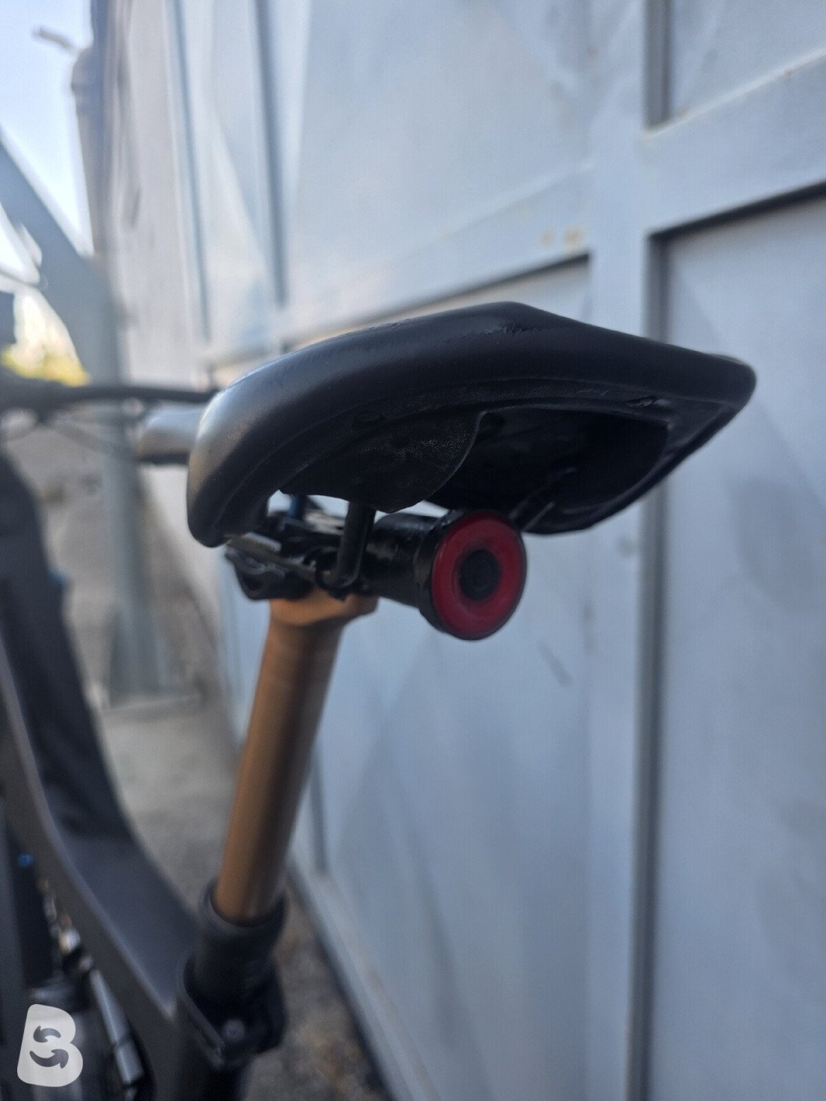 Whistle B-Rush Carbon 2023