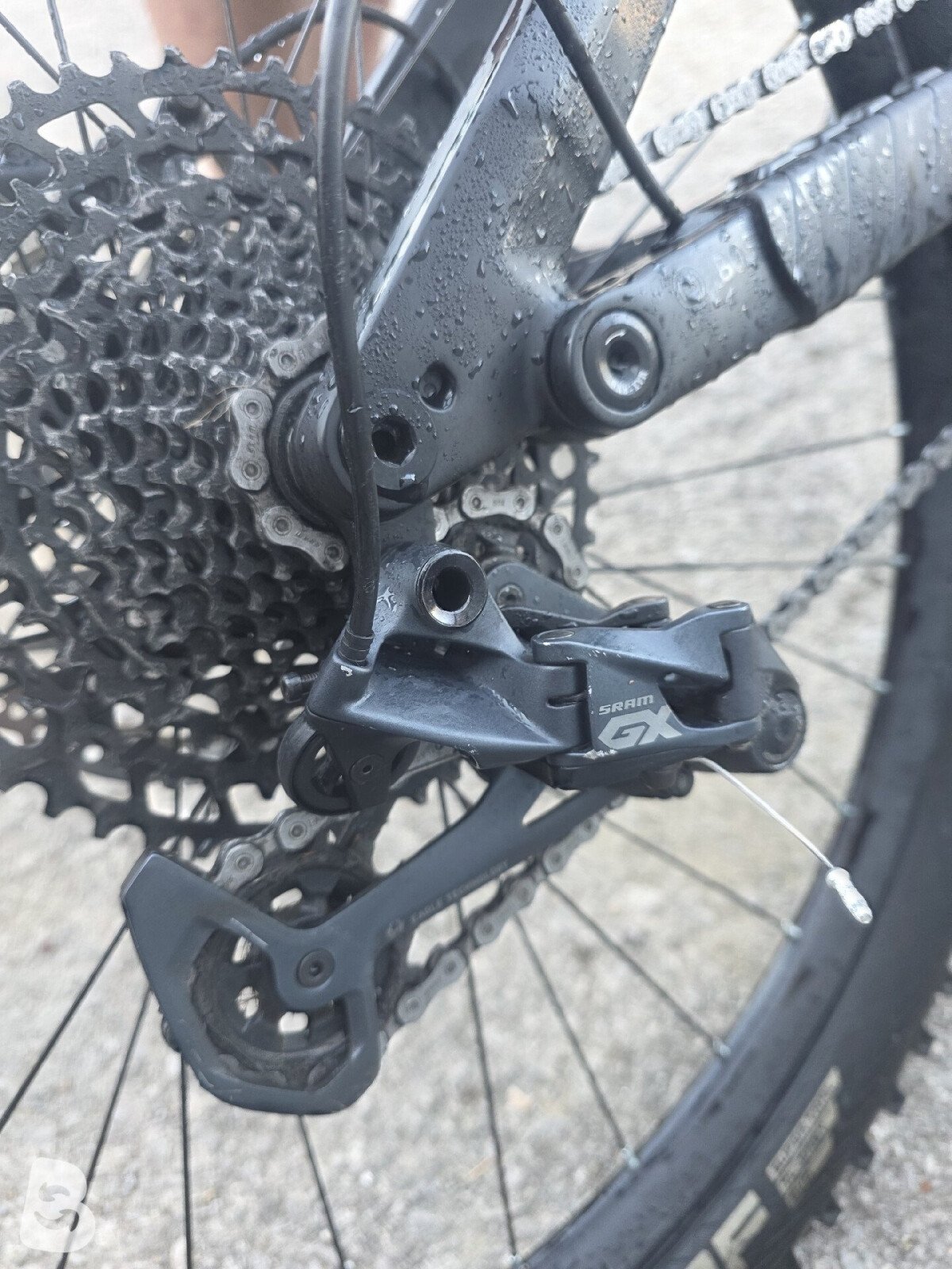Whistle B-Rush Carbon 2023