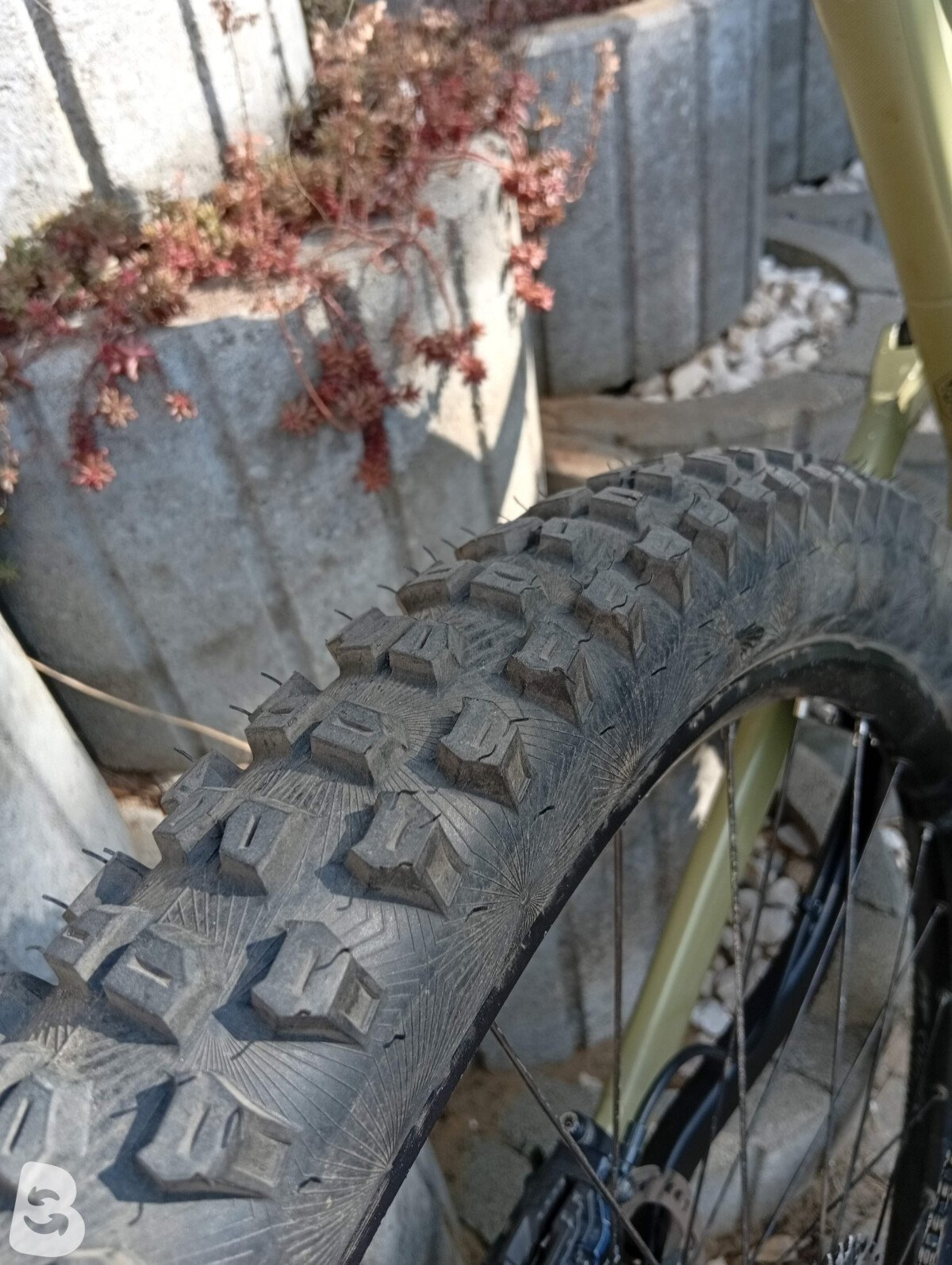 Radon SWOOP 9.0 2022