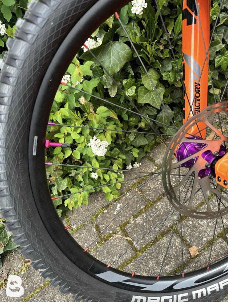 Giant Reign SX 2020