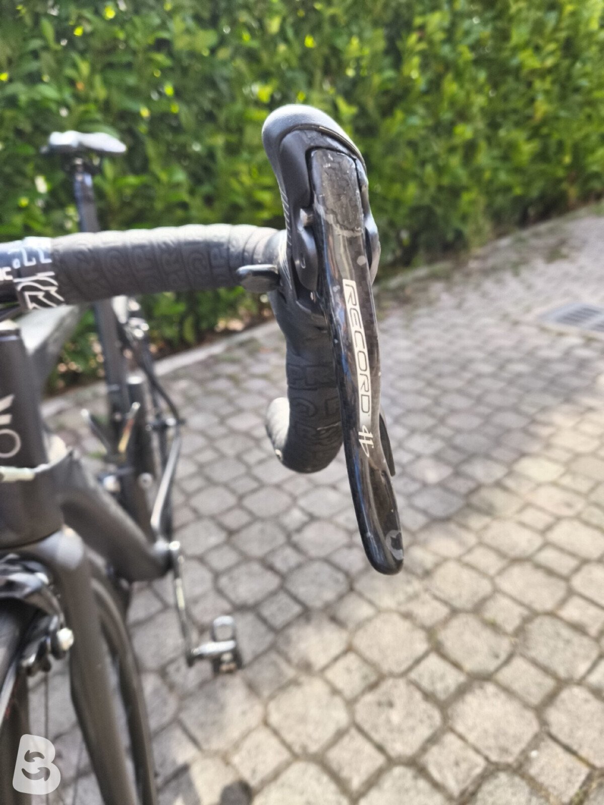 Cicli Fontana Fta 2025