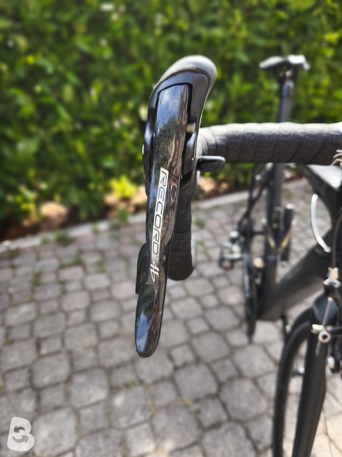 Cicli Fontana Fta 2025