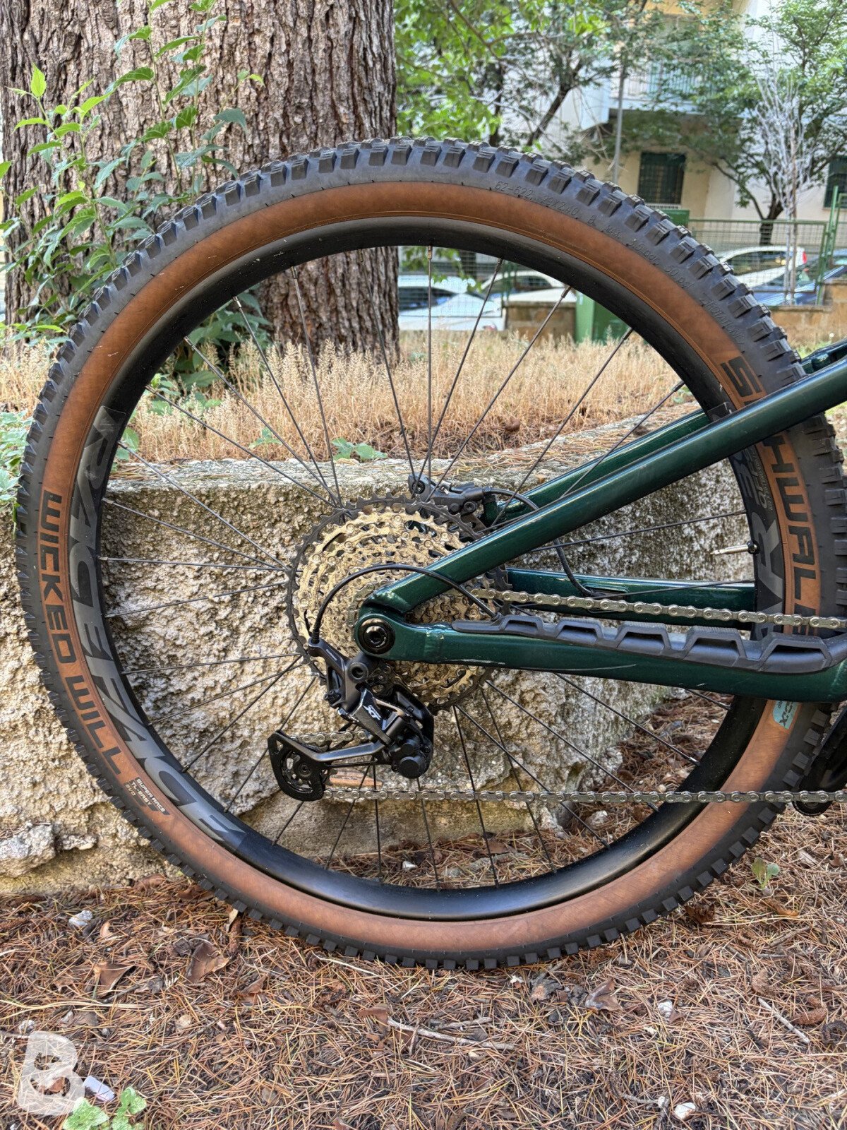 Orbea Rise Carbon M10 2024