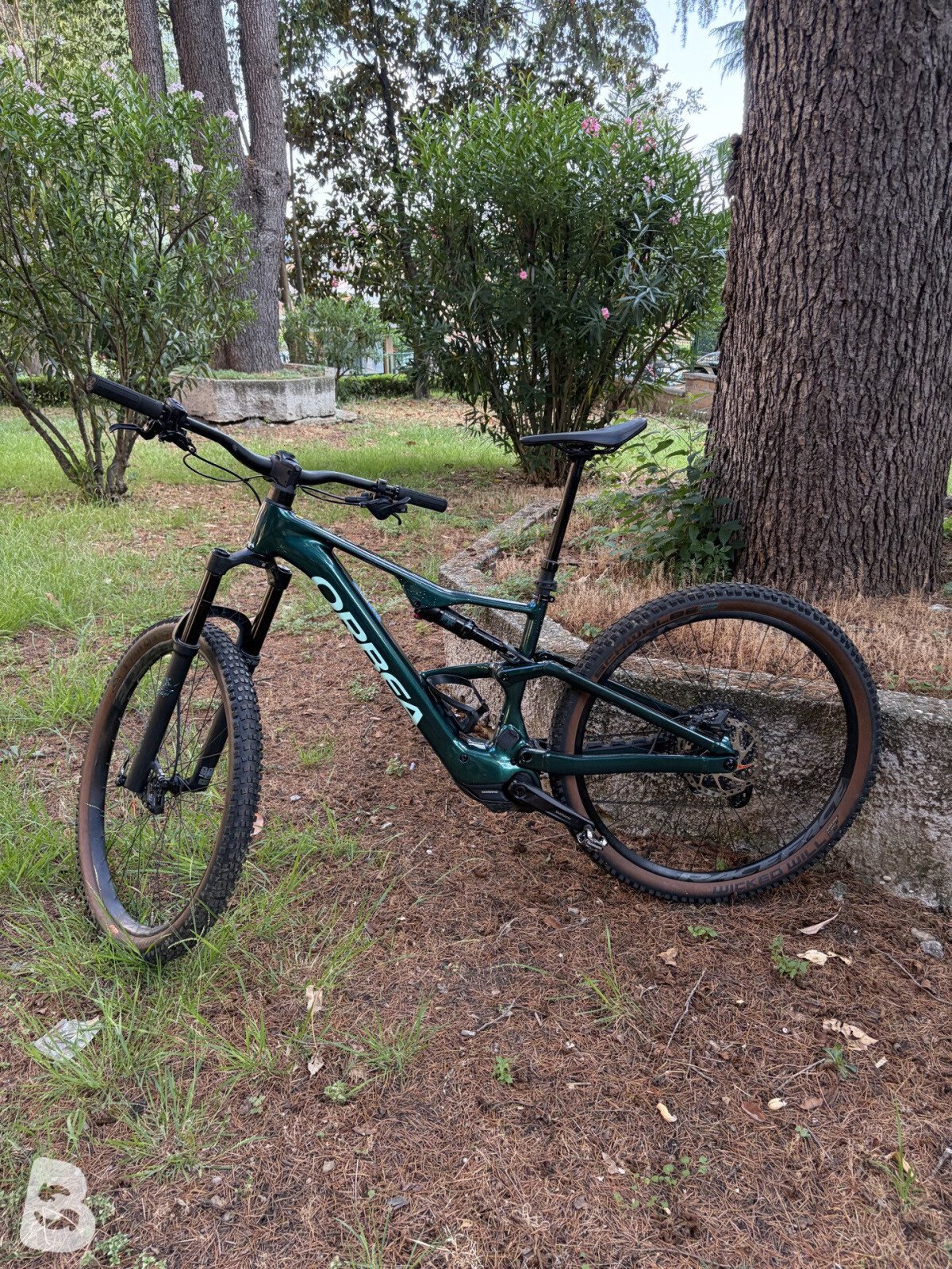 Orbea Rise Carbon M10 2024