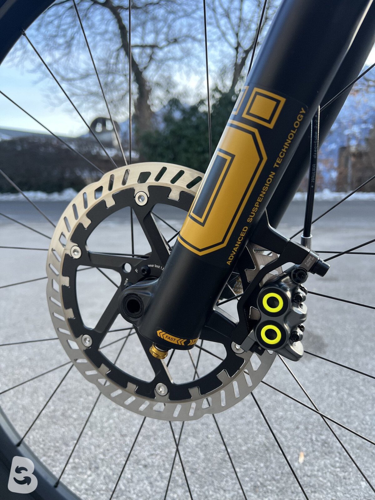 Canyon Torque CF Fabio Wibmer 2024