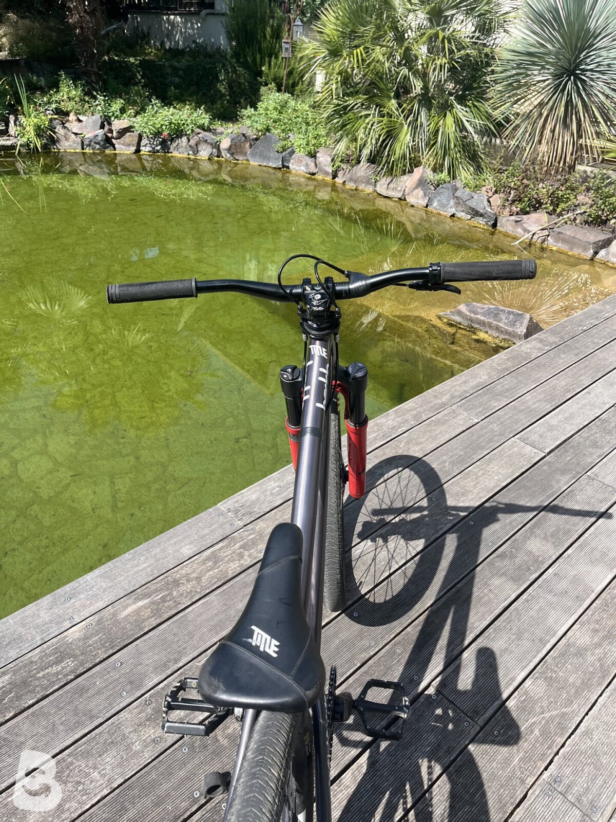 Beddo Sway 2024