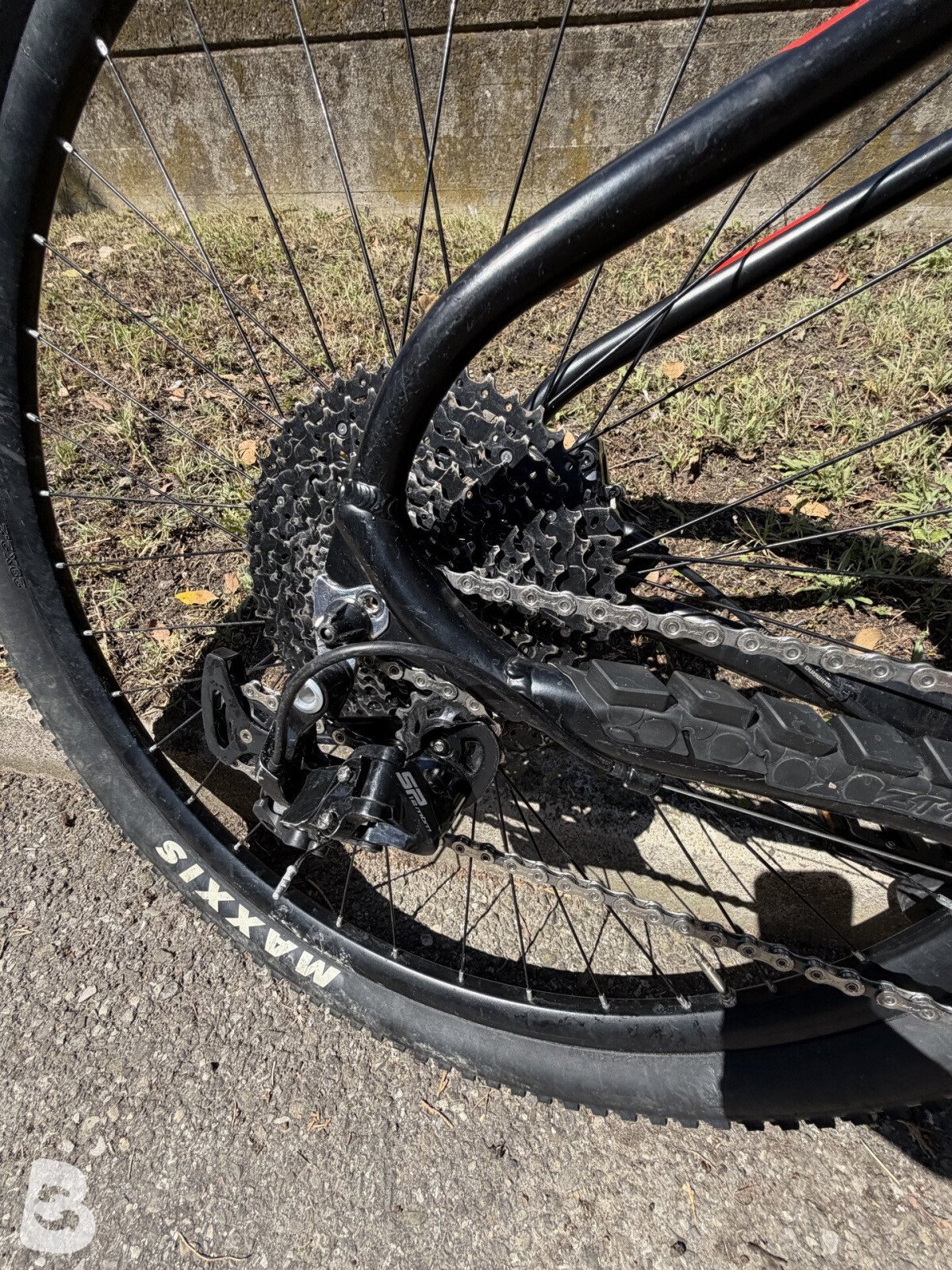 Cicli MBM Snake 2023