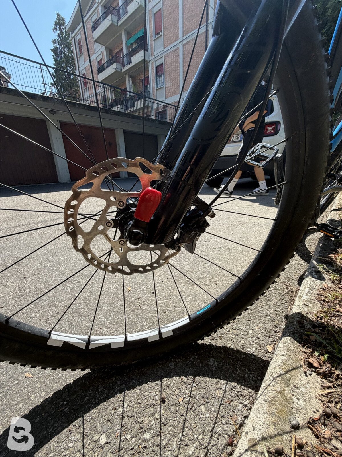 Cicli MBM Snake 2023