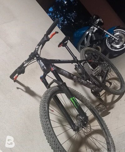 Scott Aspect 2018