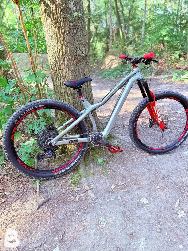 Dartmoor Hornet Pro 2025