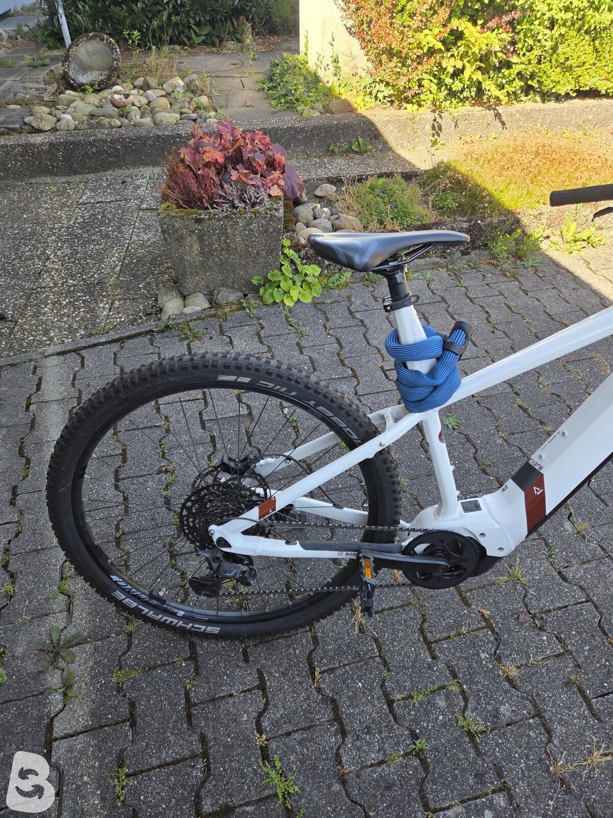 Conway Cairon S 8.0 Hardtail 2024