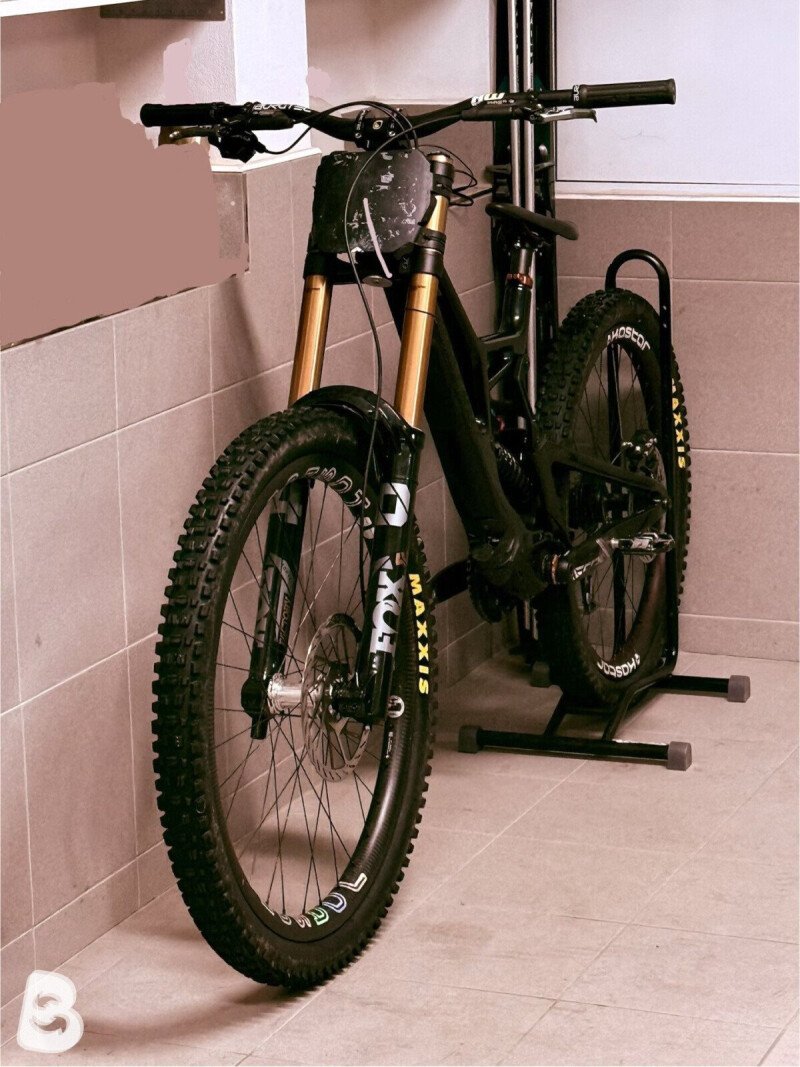 Santa Cruz V10 2025