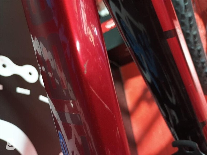 Trek Procaliber 9.8 2023