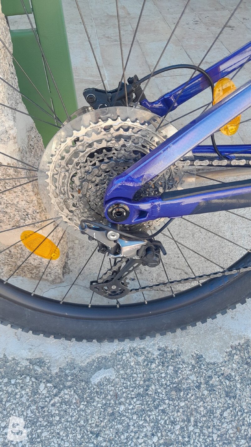 Trek Rail 5 625W Gen 3 2024