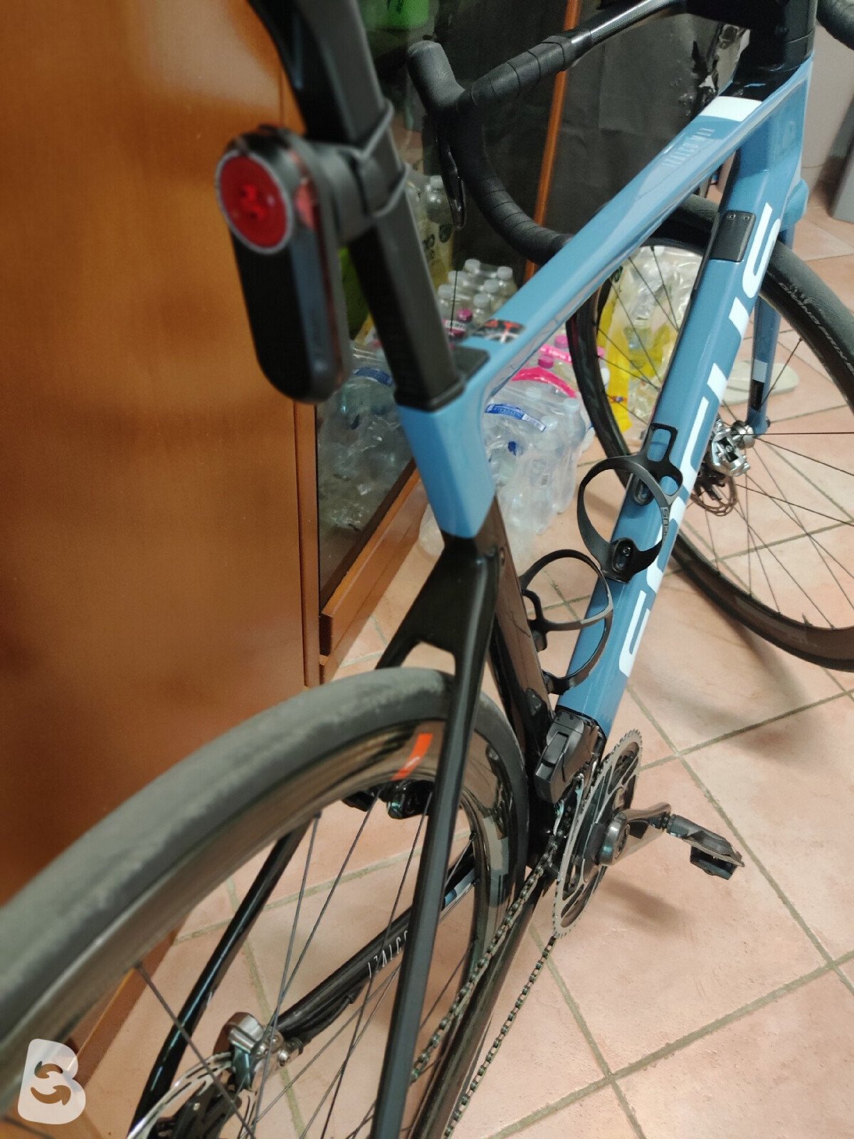 Focus IZALCO MAX DISC 9.8 2021
