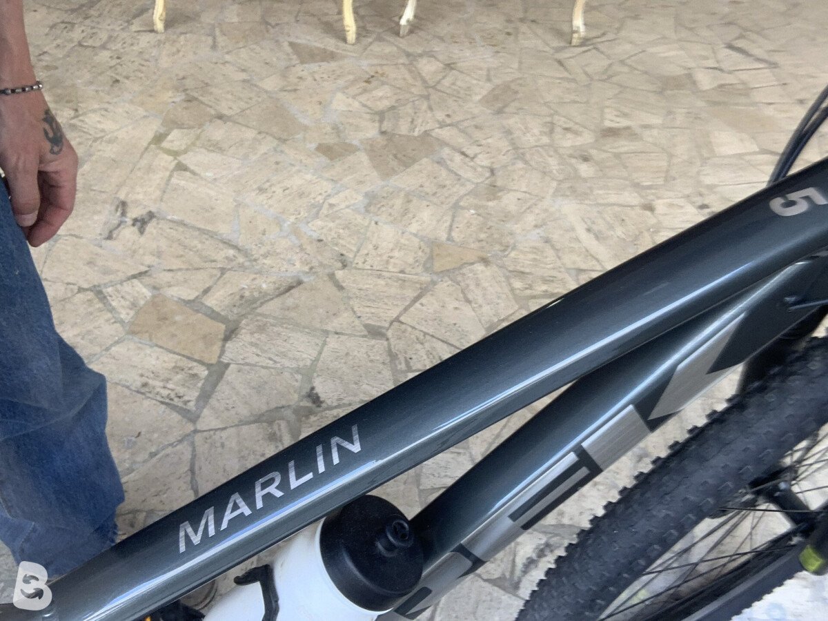 Trek Marlin 5 2024