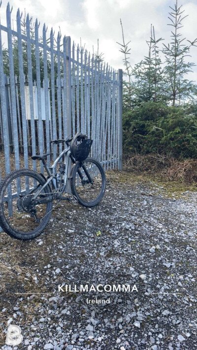 Trek Fuel EX 8 Gen 6 2023
