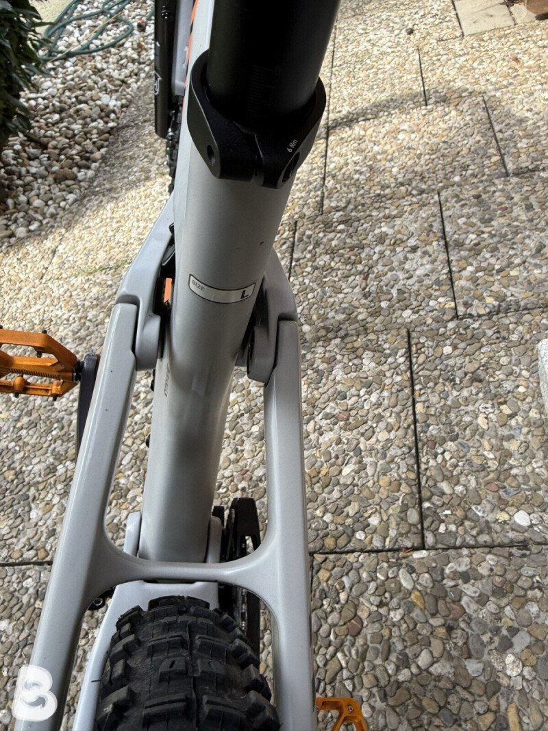 Canyon Strive CFR Underdog 2022
