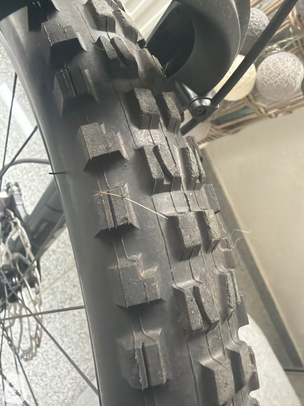 Focus JAM 6.9 2022