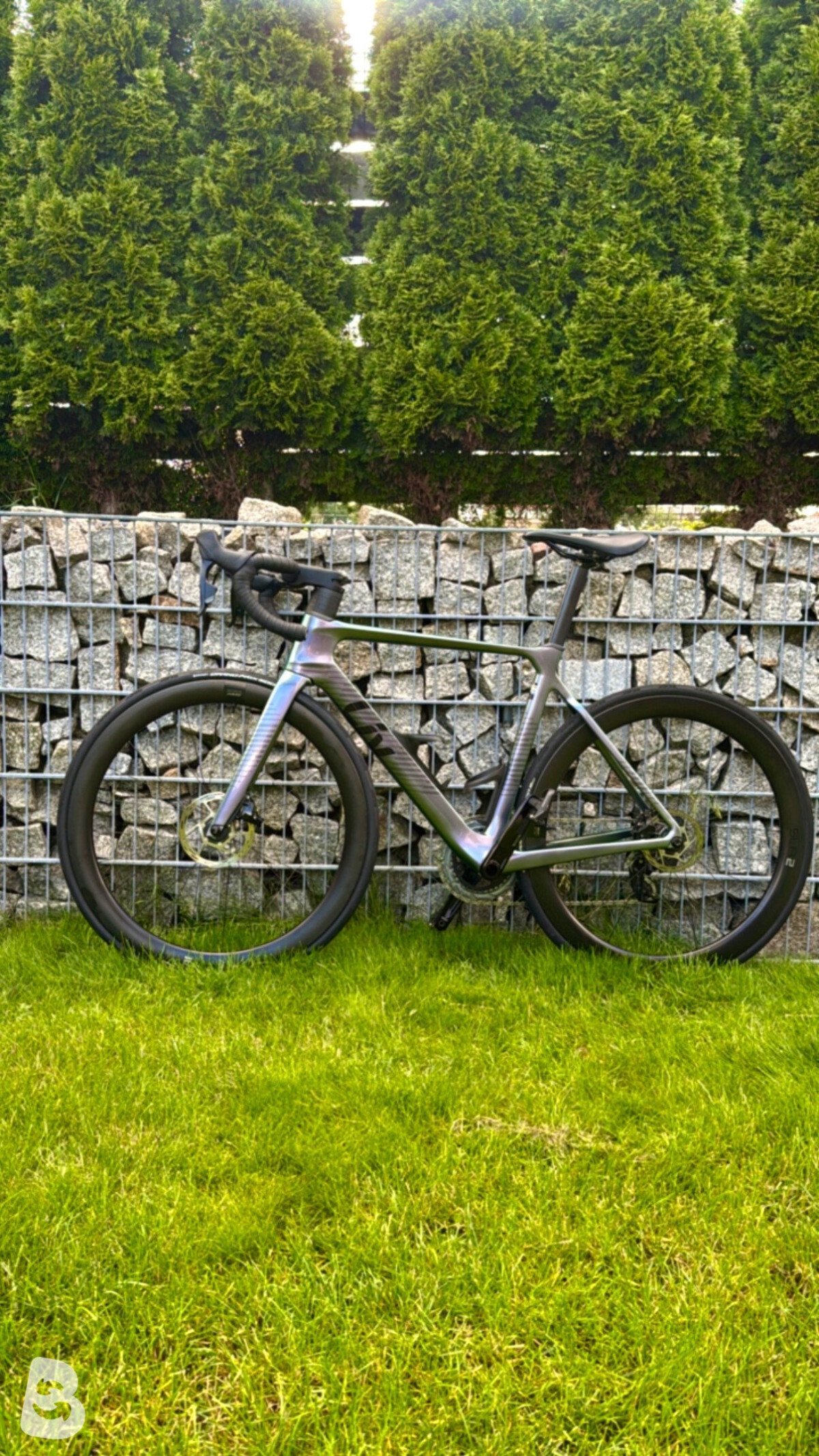 Liv EnviLiv Advanced 1 2023