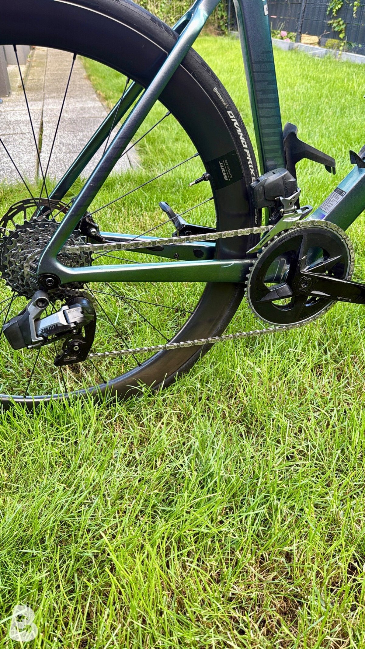 Liv EnviLiv Advanced 1 2023