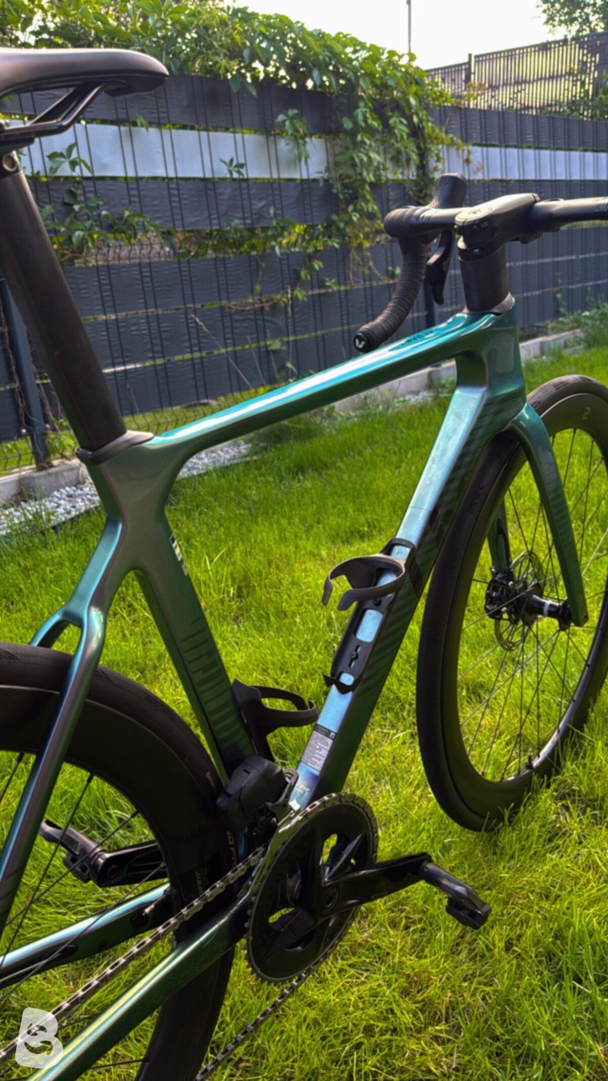 Liv EnviLiv Advanced 1 2023