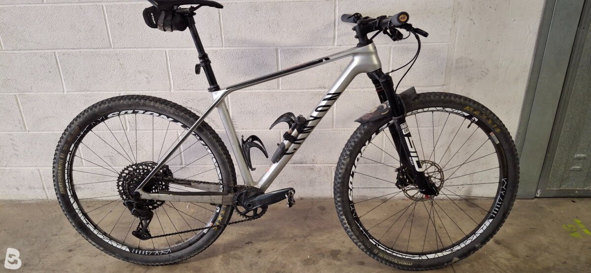 Canyon Exceed CF 7 2022