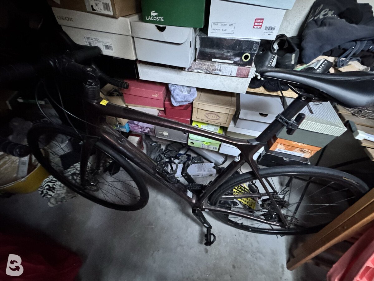Giant Defy, Advanced 2 2022