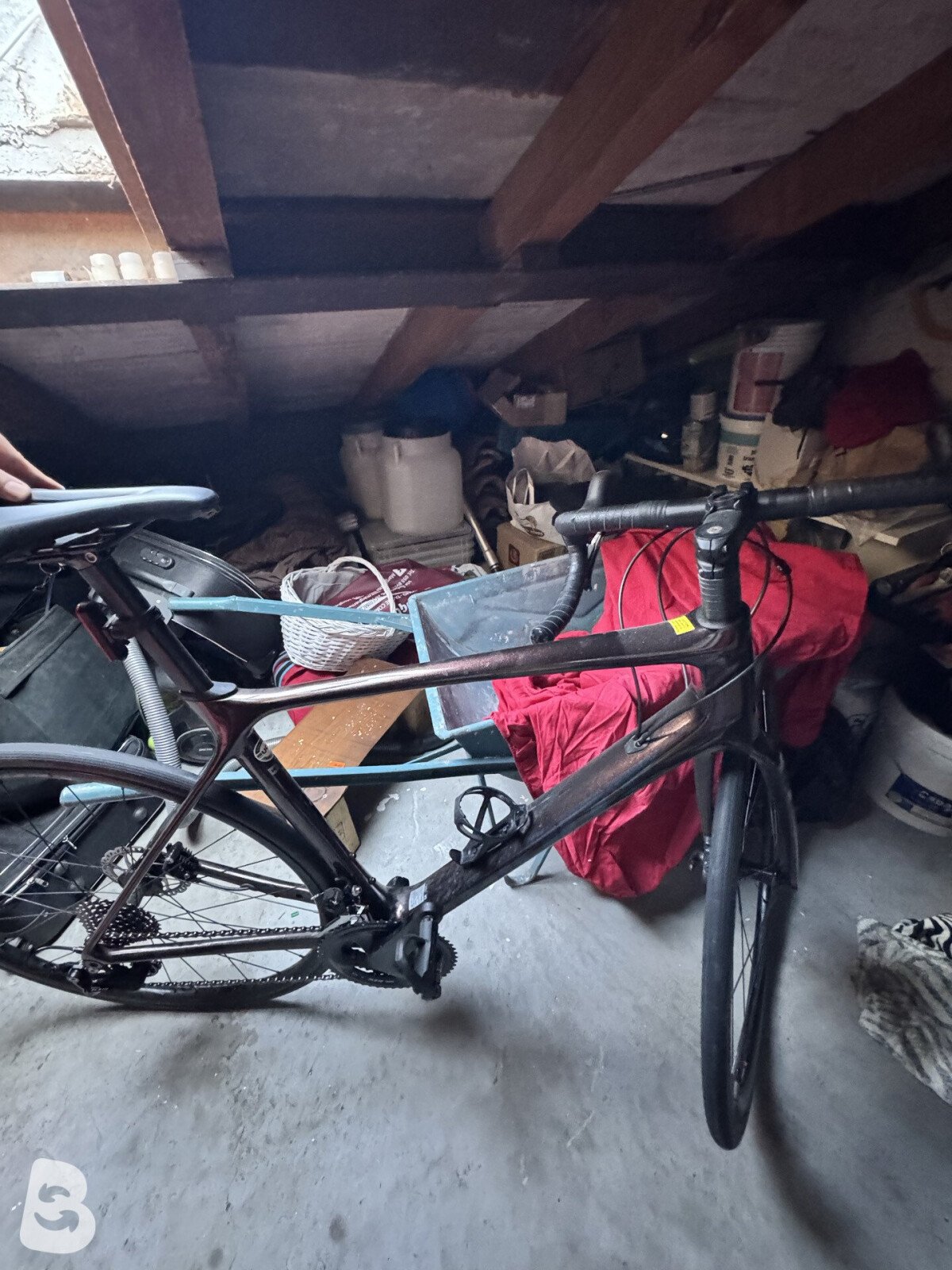 Giant Defy, Advanced 2 2022