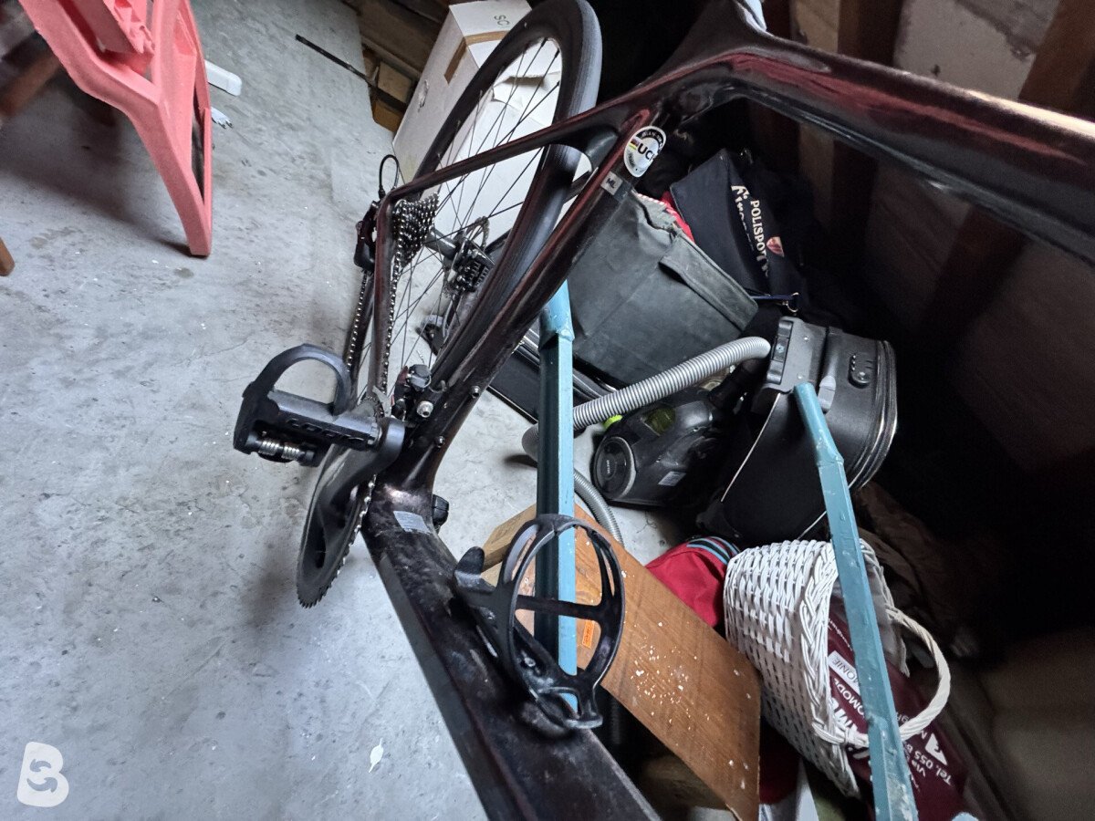 Giant Defy, Advanced 2 2022