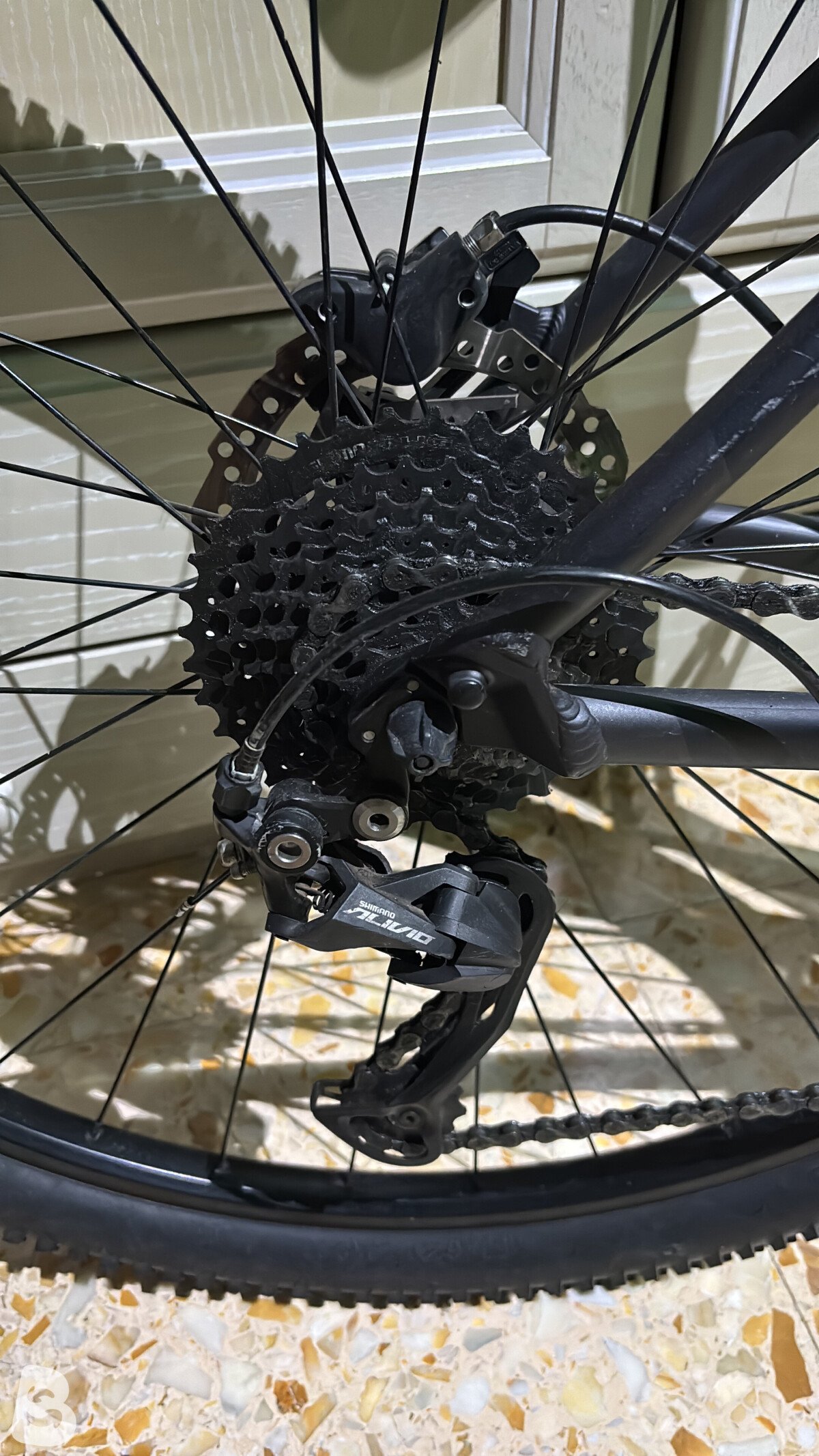 Focus WHISTLER 3.6 2021