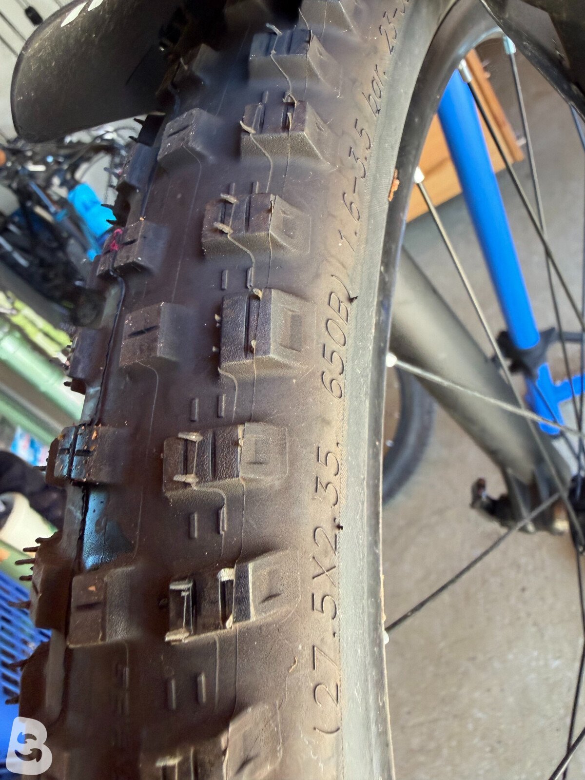 Canyon Neuron WMN AL 6.0 2018