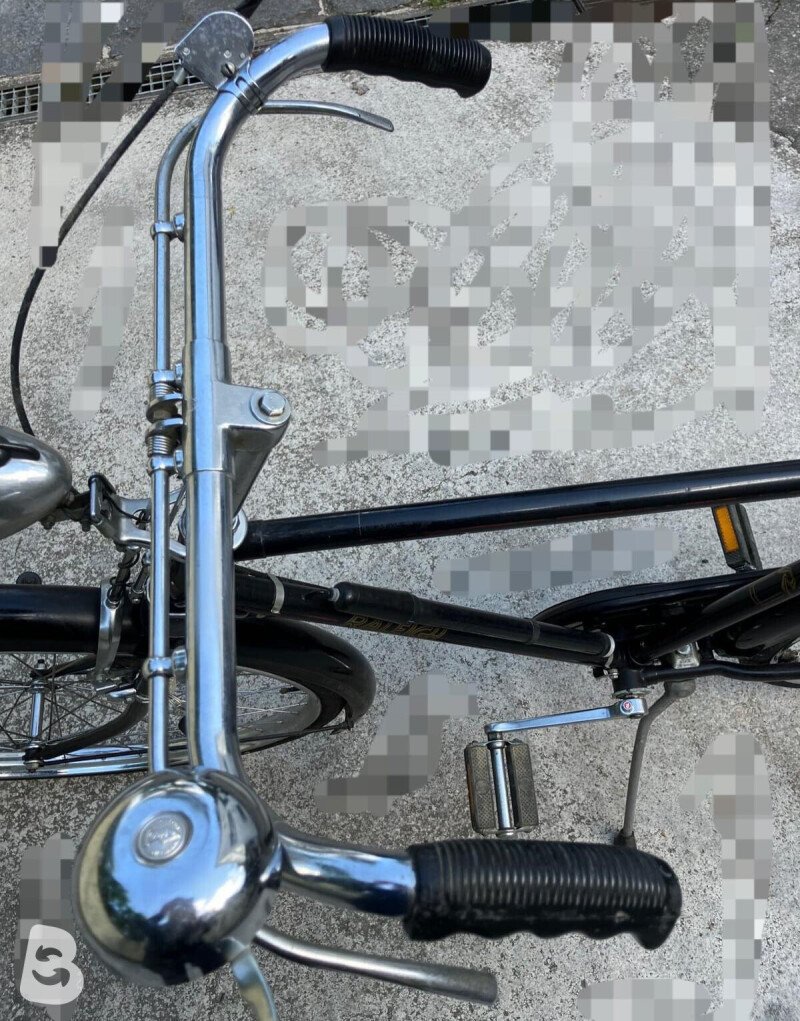 Raleigh Tourist 1979