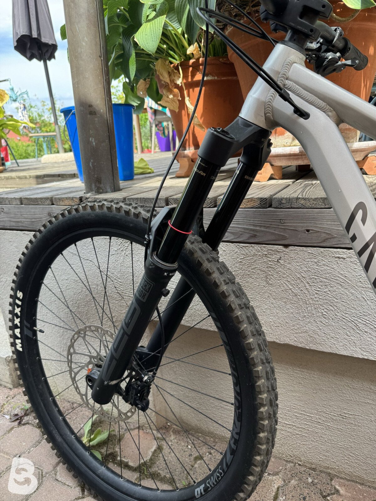 Canyon Torque 6 2025