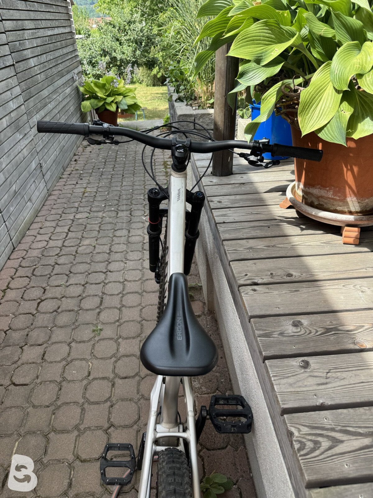 Canyon Torque 6 2025