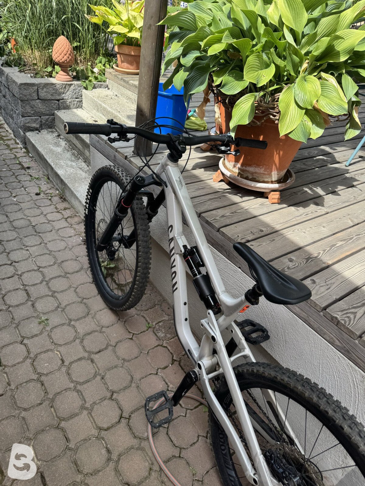 Canyon Torque 6 2025