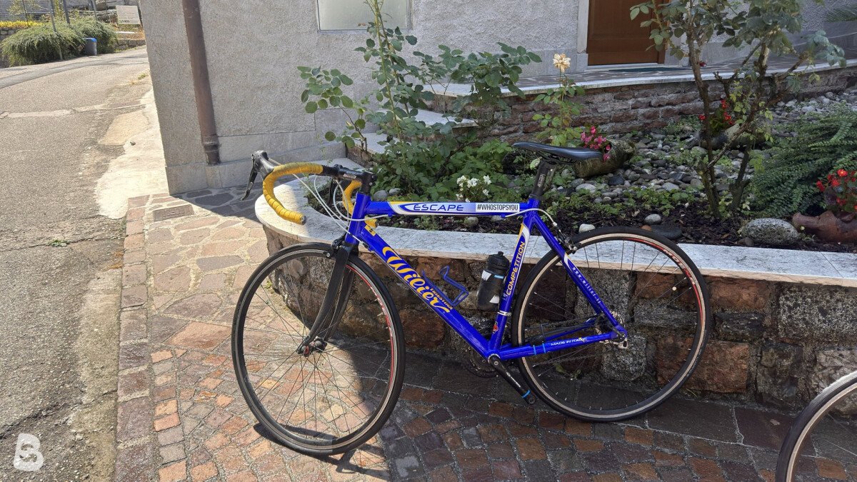 Wilier ESCAPE 2010