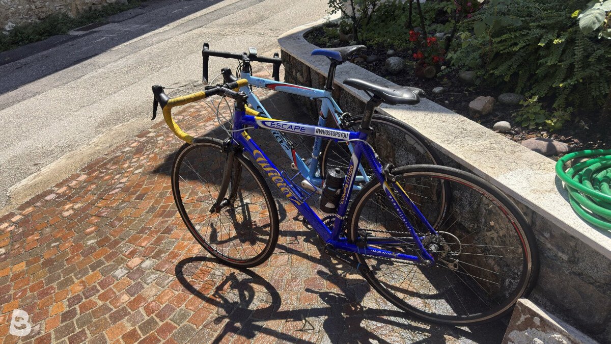 Wilier ESCAPE 2010