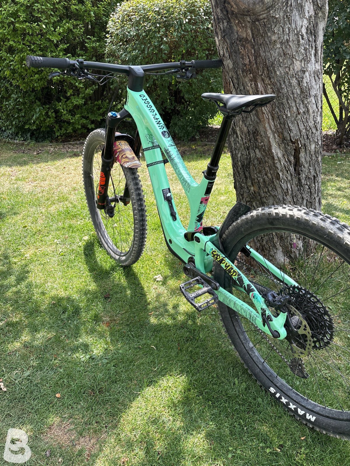Bold Unplugged Pro 2024